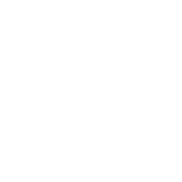 alignment icon